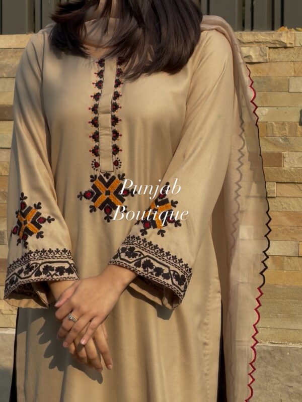 Winter Collection- Pashmina🪻❄️_For ordering dm or whatsapp_ 91 98768 30526__We provide custom fitting._Customise fabric_ colour and preferences.__[Ethnic suits Trendy suits Salwar suits Pa( Silk Embroidery A50